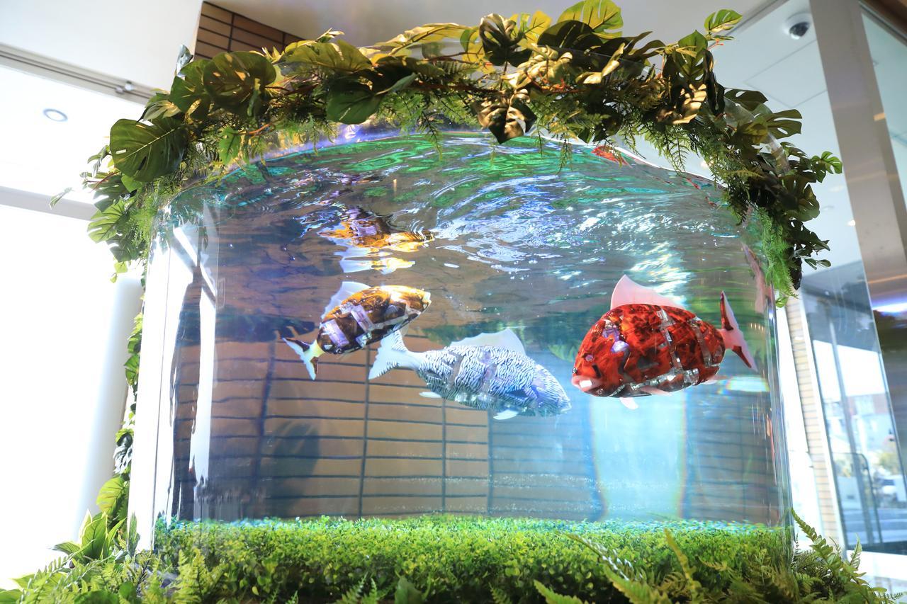 Henn Na Hotel Maihama Tokyo Bay Urayasu Extérieur photo